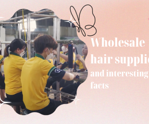 interesting-facts-about-wholesale-hair-suppliers