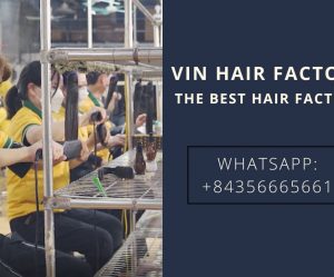 go-to-vin-hair-factory-for-high-quality-hair-1