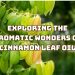 exploring-the-aromatic-wonders-of-cinnamon-leaf-oil